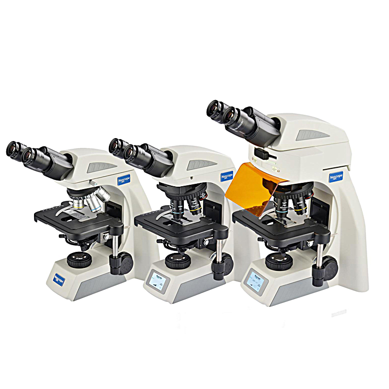 NE600系列实验级生物荧光显微镜