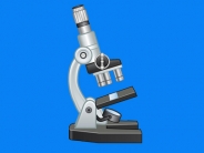 显微镜的使用方法及注意事项