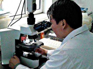 如何正确使用显微镜设备？