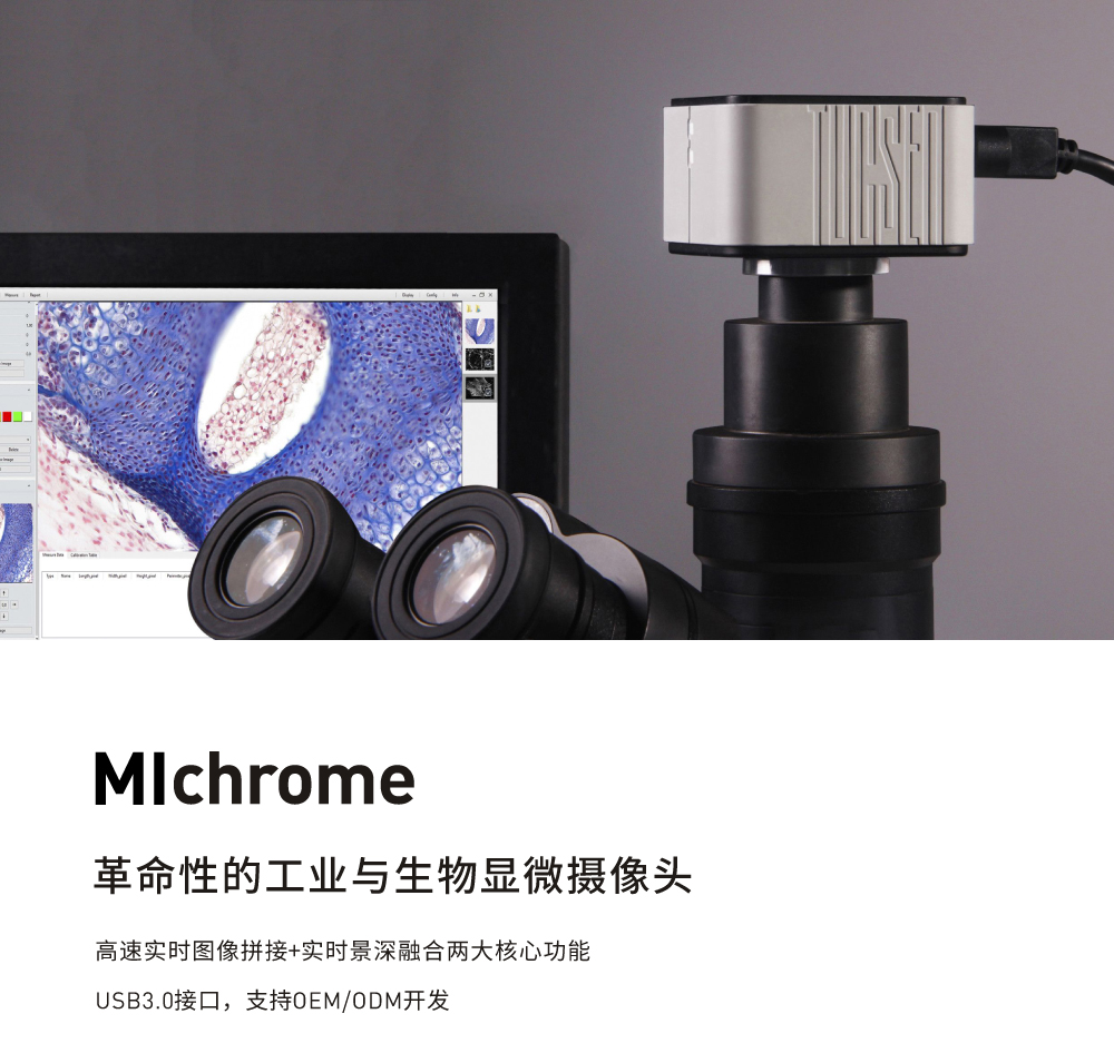 MIchrome CH-1.jpg